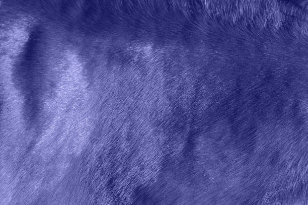 horse skin background in color of the 2002 year - year 2002 imagens e fotografias de stock