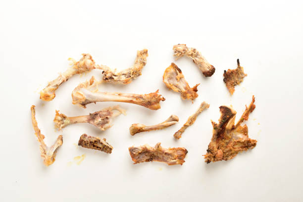 istock Top  View of Leftover Chicken Bones on White Background 1359435616