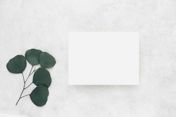 istock invitation card mockup with eucalyptus branch on beige background, . Flat lay, top view with copy space 1359436482