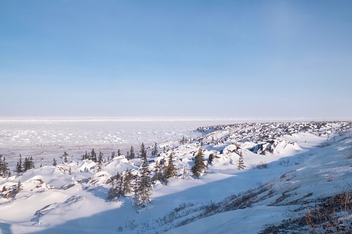 The snowy coastline and frozen white surface of Hudson Bay in February, with sparse boreal trees, boulders, and flat tundra along the coast.