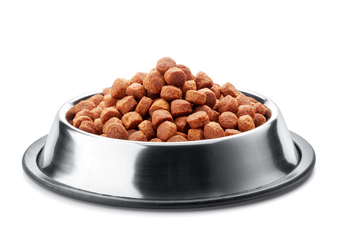 dog food in metal bowl isolated on white