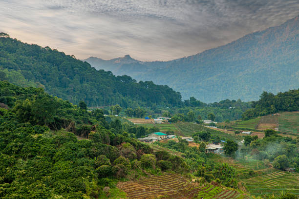 istock mountains under morning mist in thailand Chiang Mai 1359448077