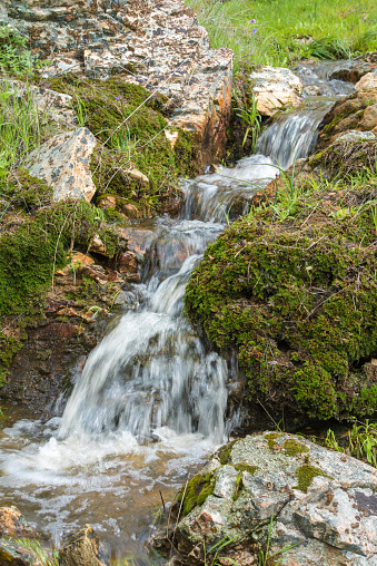 Small waterfall from seasonal mountain stream surrounded by green vegetation