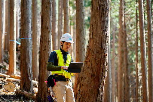 A mid adult forestry worker using a digital tablet at a selective logging site in Japan