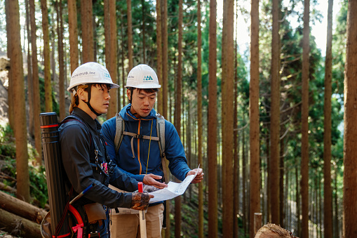 Selective Logging Map Two Forestry Workers Review A Topographic Map At A Selective Logging ...