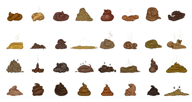 ilustrações de stock, clip art, desenhos animados e ícones de cartoon shit. big vector set of poop piles - worm poop