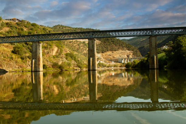 istock Douro Valley Portugal 1359456738