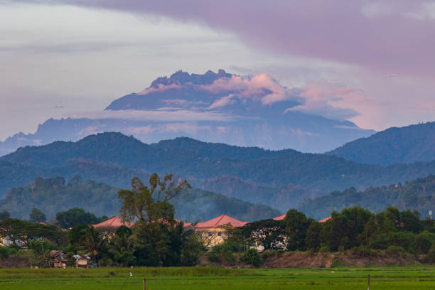 Beautiful Mount Kinabalu view from Paddy field during Twilight sunset