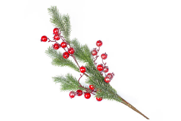 istock Beautiful christmas twig with holly berries , isolated 1359460153