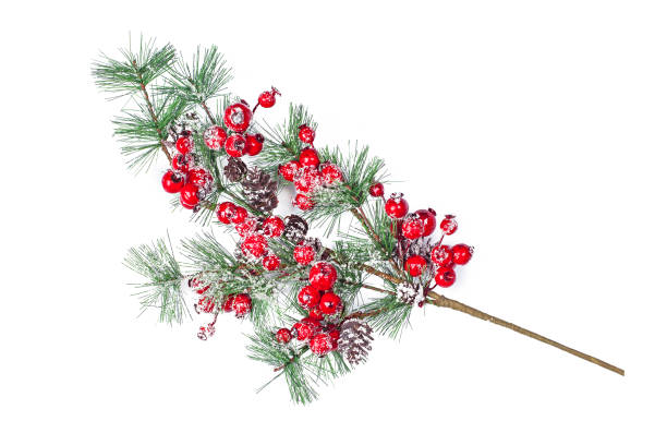 istock Beautiful christmas twig with holly berries , isolated 1359460156