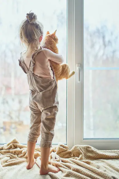 Photo of Child looks out the window with his cat. Observation. Quarantine. Unrecognizable