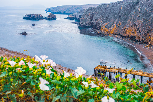 Lighthouse in France