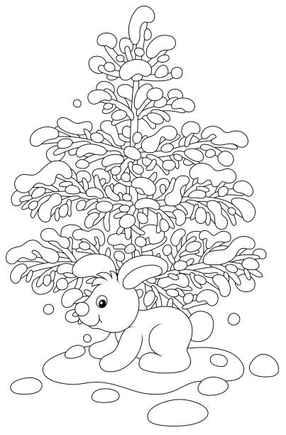 White hare under a snowy fir tree Cute baby rabbit sitting by a prickly spruce in a cold winter forest, black and white outline vector cartoon illustration for a coloring book page coloring book cover stock illustrations