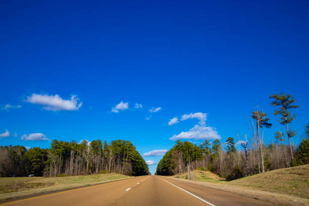 istock Highway through forest and vast open field in America, spring 1359466102