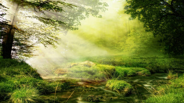 istock Beautiful landscape - Drawing meadow in tropical forest 1359466382