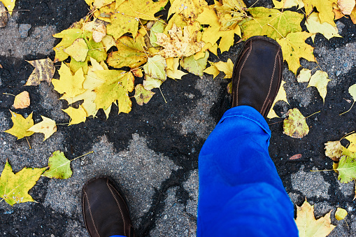 Top view of asphalt road with autumn leaves and mans legs