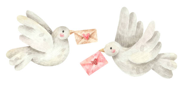 doves with love letters Two doves with love letters. Watercolor illustration of white birds with letters. Hand drawn elements for wedding or St. Valentines Day decoration valentine symbols cartoon stock illustrations