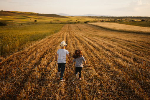 Back view of little brother and sister while holding hands and running on agricultural field