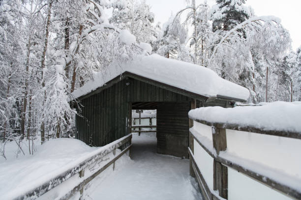 Snowy pathways at Ranua zoo in winter stock photo