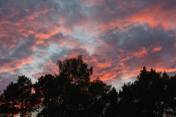 Setting sun on the outskirts of Berlin. The sky seems to burn. Romantic evening sky.