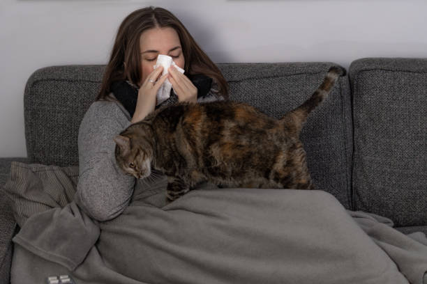jeune fille malade allongée sur le canapé avec son chat - illness domestic cat headache animal photos et images de collection