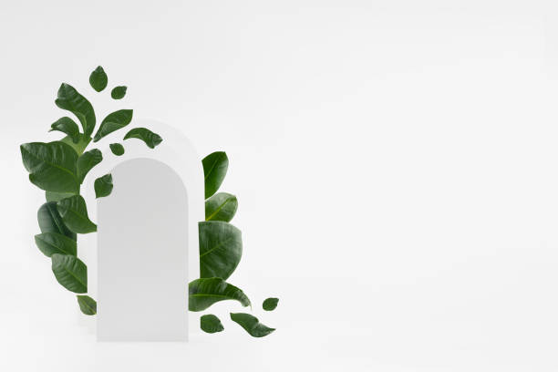 Fashion light spring modern abstract scene mockup with white rectangle rounded arches, swirl of flying green leaves, podium for presentation cosmetic product, goods, design, advertising, copy space. maqueta de escena abstracta moderna de primavera ligera de moda con arcos de medio punto rectangulares blancos, remolino de hojas verdes voladoras, podio para presentación de productos cosméticos, productos, diseño, publicidad, espacio de copia.