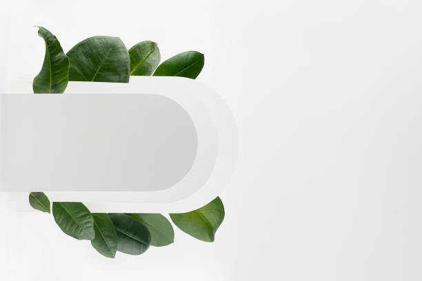 istock Floral natural fresh abstract figure of white rounded horizontal stripe sideways with tropical green leaves as blank frame for design, text, advertising, simple geometric minimal style, copy space. 1359476847