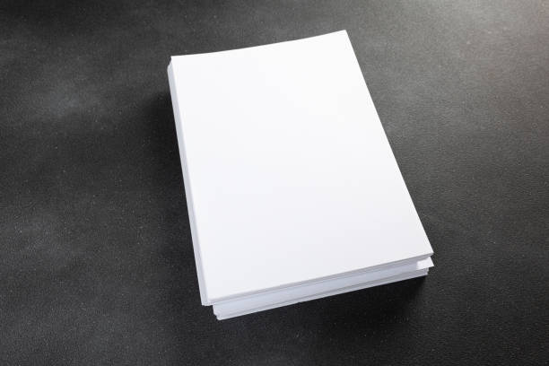 istock Blank a4 poster flyer isolated on gray to replace your mockup design 1359480302