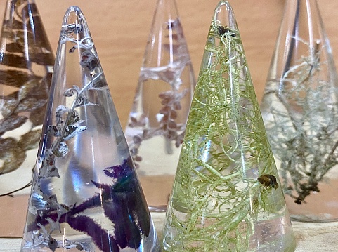 Horizontal close up of pyramid shape clear resin moulds with nature’s plants seaweeds flowers and leaves inside handmade into art pieces