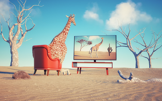 Giraffe sits on armchair in the desert looking at tv. Self awareness and creativity concept. This is a 3d render illustration