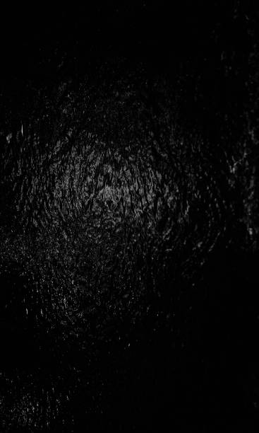 istock wild and fast water flow, black and white waterfall frame, blur and fuzziness 1359490940