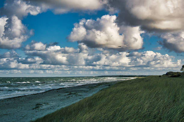istock on the baltic sea beach with clouds, dunes and beach 1359492909