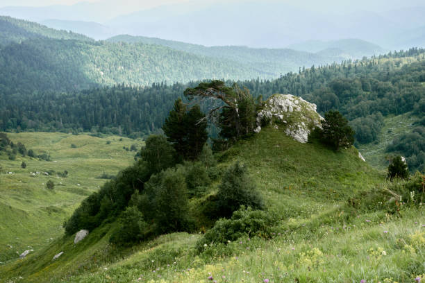 istock Mountain landscape with green valleys. 1359497042