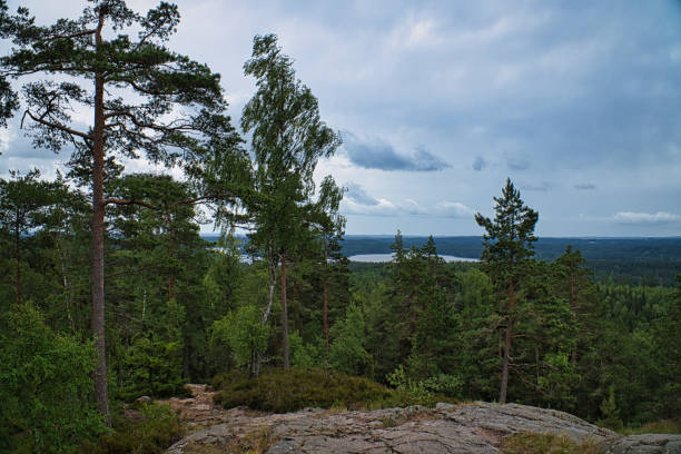 istock the swedish landscape. cold rock and endless tranquility 1359498899