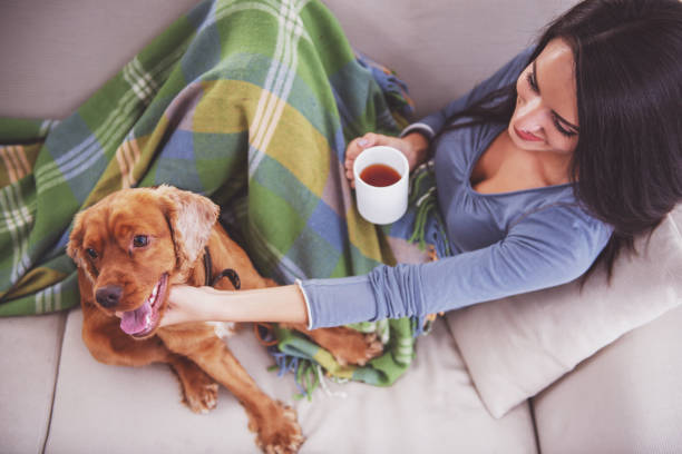 istock Woman with dog 1359500537