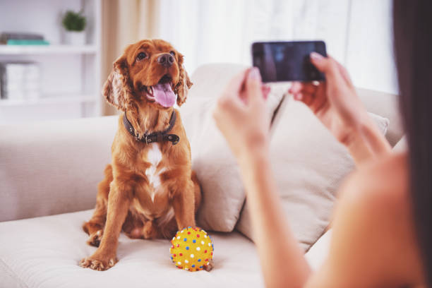 istock Woman and dog 1359500557