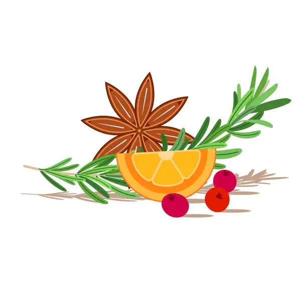 Vector illustration of Christmas illustration with star anise, rosemary sprig, cranberry and orange. Isolated on white background. Winter spices. Holiday winter decoration