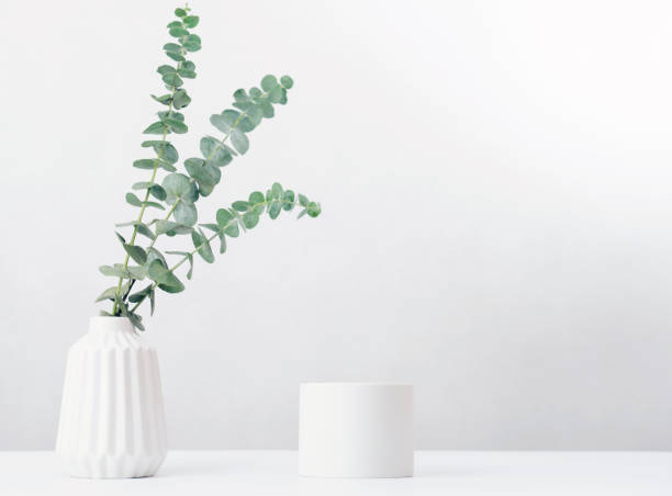 istock minimal style showcase podium or pedestal for product presentation. white vase with eucaliptus leaves. eco cosmetic or natural self care mockup. 1359500773