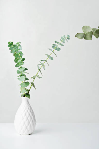istock spring eucaliptus green branches in white vase. mockup for product placement or motivating incription. light and airy mock up. minimal scandinavian nordic style design. vertical. 1359501399