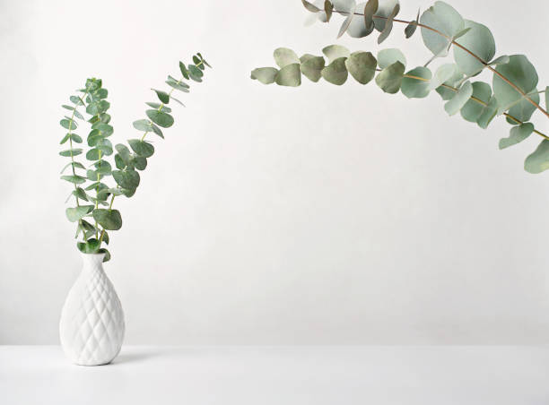 istock spring eucaliptus green branches in white vase. mockup for product placement or motivating incription. light and airy mock up. minimal scandinavian nordic style design. 1359501584