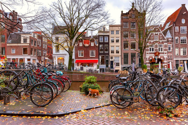Amsterdam canal with dutch houses