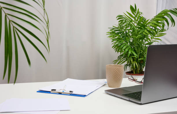 istock White table with laptop and pots with plants, freelance workplace 1359503773