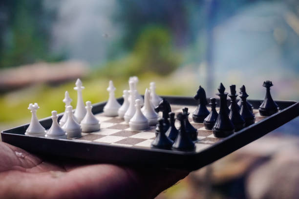 istock Playing miniature chess in nature 1359506138
