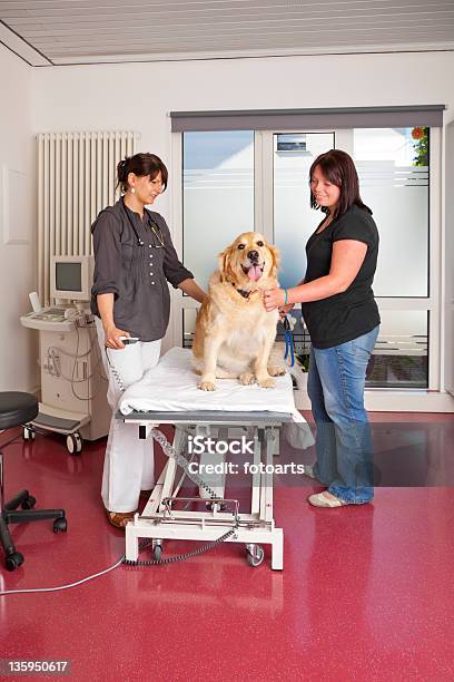 Tierarzt Vorbereitung Untersuchungstisch Stockfoto und mehr Bilder von Allgemeinarztpraxis - Allgemeinarztpraxis, Arzthelferin, Ausrüstung und Geräte