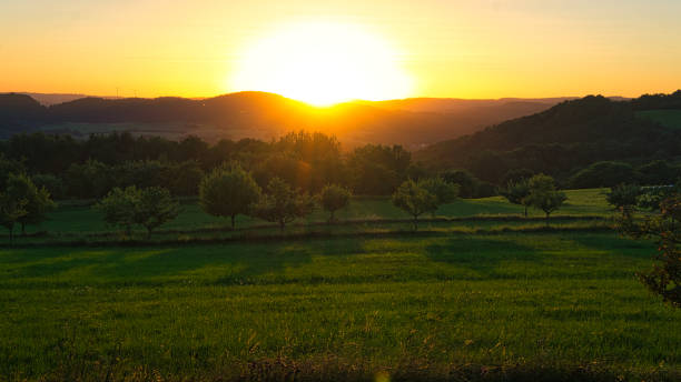 istock Sunset in Saarland on a meadow with trees and view into the valley 1359507250