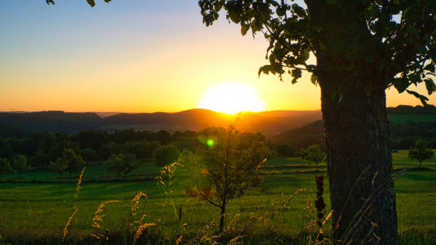 istock Sunset in Saarland on a meadow with trees and view into the valley 1359507422