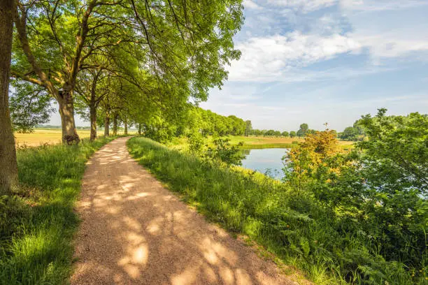 Picturesque landscape with trees and a curving sandy path along a lake. The photo was taken in the Dutch province of North Brabant on a partly cloudy day in the spring season.
