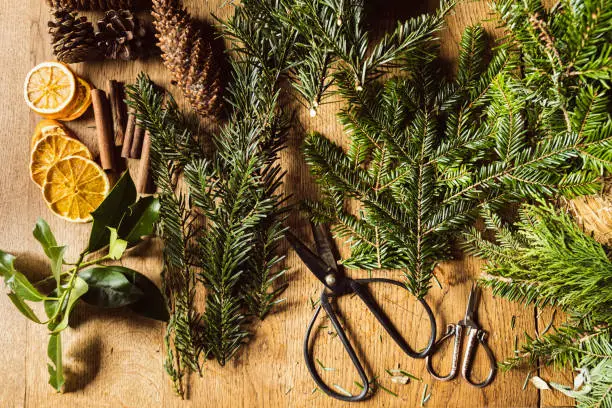 Female making a Christmas wreath in a DIY - Do It Yourself - work at home on a wooden table top with vintage scissors and tools.