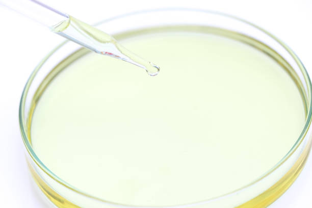 istock Biodiesel experiments from natural raw materials in the laboratory 1359509744