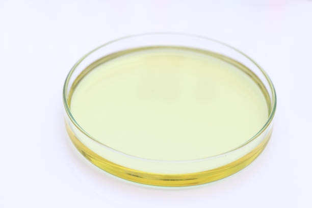 istock Biodiesel experiments from natural raw materials in the laboratory 1359509745